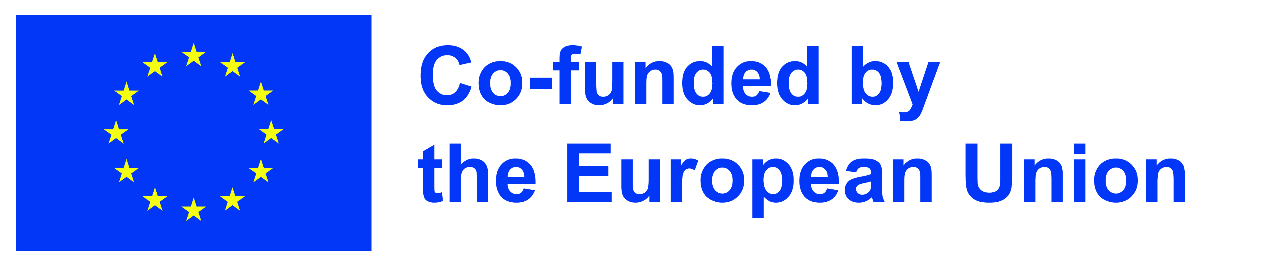 Disclaimer: The European Commission’s support for the production of this toolkit does not constitute an endorsement of the contents, which reflect the views only of the authors, and the Commission cannot be held responsible for any use which may be made of the information contained therein.